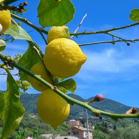 몬테로소 알 마레 Casa Limoni 빌라 외부 사진