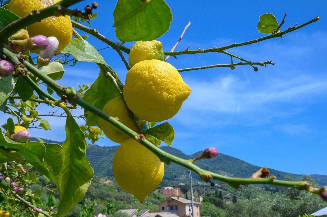 몬테로소 알 마레 Casa Limoni 빌라 외부 사진